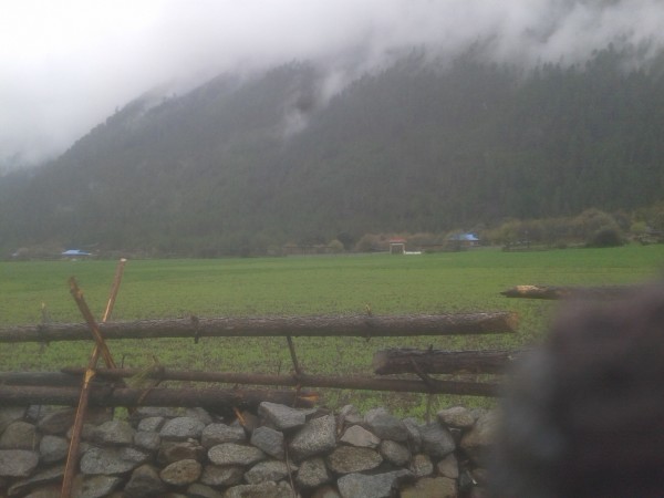 邳州最新拆迁背后的自然美景探索之旅