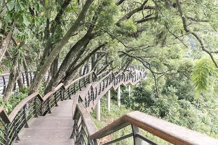 探索自然美景的轻松之旅，最新风全排体验