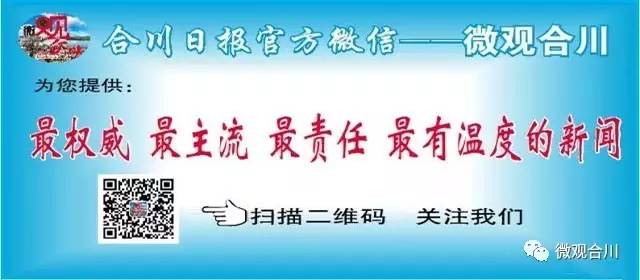 合川渠江绿道最新动态，拥抱自然之旅，探寻内心宁静之路