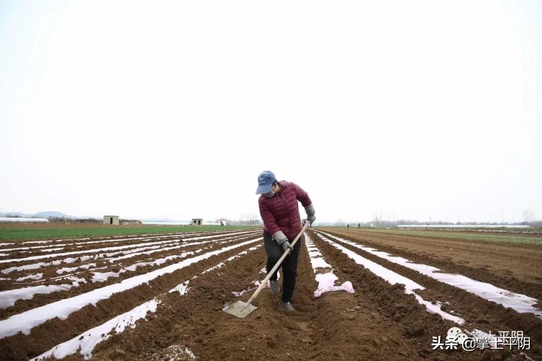 沃野互助盘最新动态与温暖日常