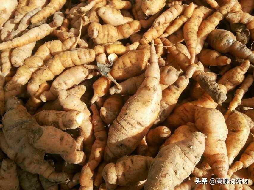 第913页