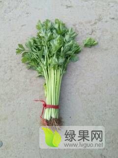 西芹今日价格行情，揭示价格背后的温馨友情故事