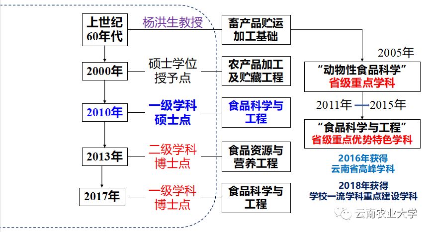 第910页