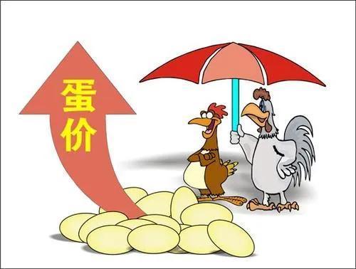 成都鸡蛋市场行情深度解析
