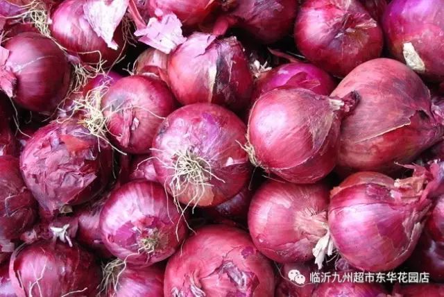 芽菜价格最新动态，小巷深处的味觉惊喜