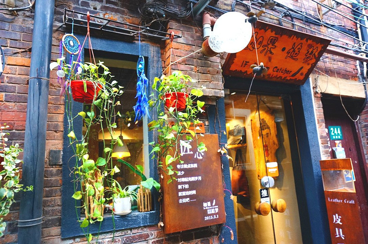 音乐巨星与小巷珍宝，特色小店的奇妙音乐之旅