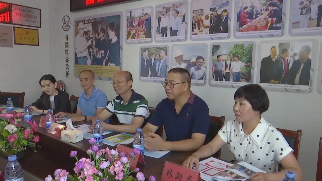 畲族明星，璀璨文化瑰宝的闪耀之光