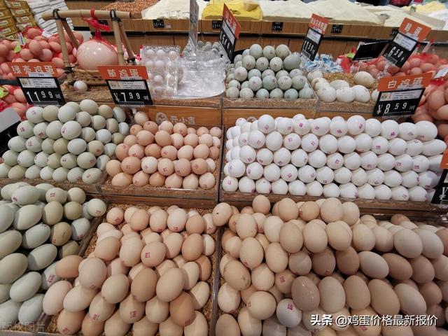 鸡蛋最新价格揭秘与行情概览🥚
