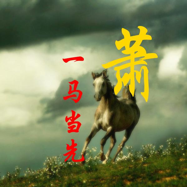 第558页