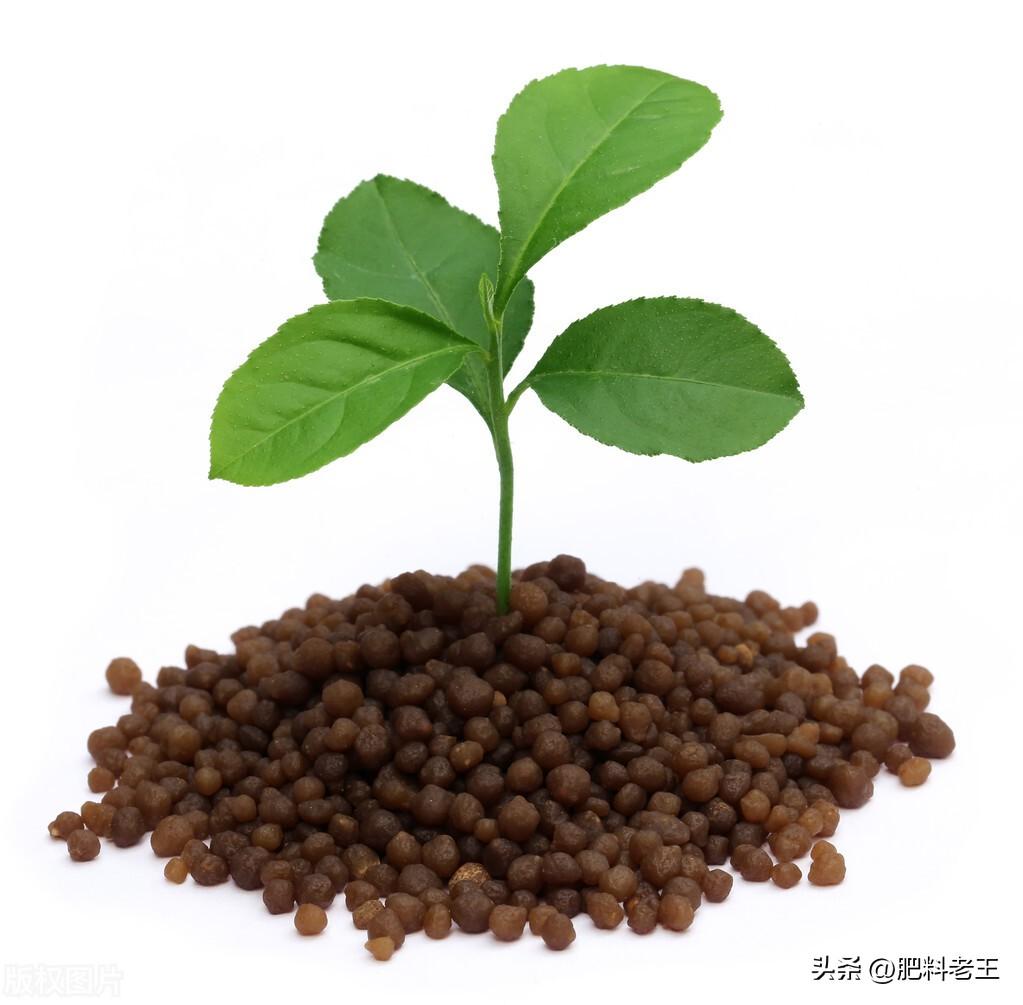 第464页
