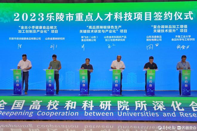 乐陵最新招聘信息全面概览