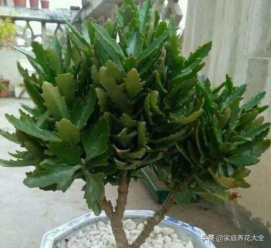 天长最新招聘信息，启程学习变化，拥抱自信与成就感的职业旅程