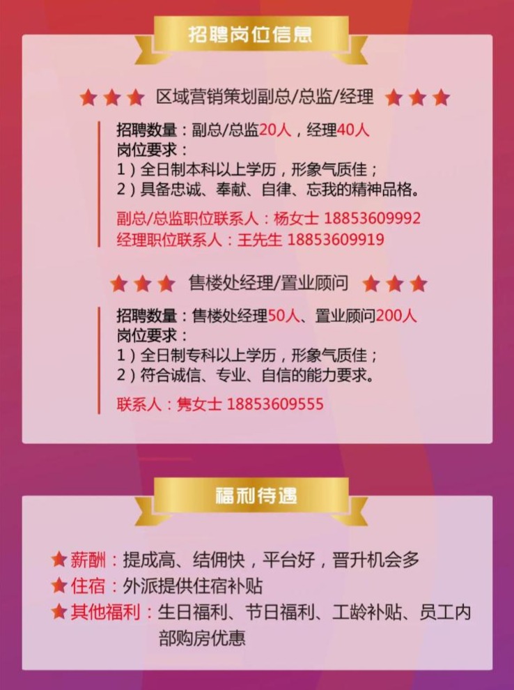益阳最新招聘信息揭秘，科技革新塑造职场新风尚