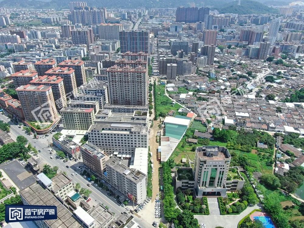 普宁最新动态更新，普宁最新消息速递