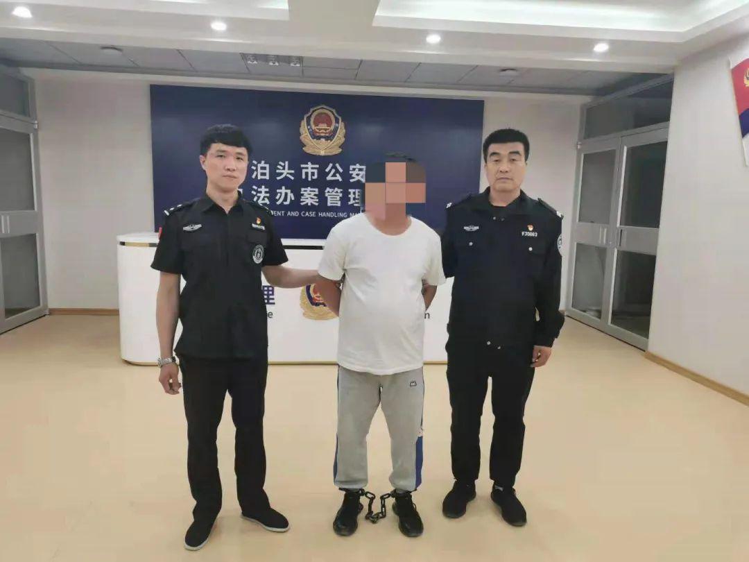 文化馆 第37页