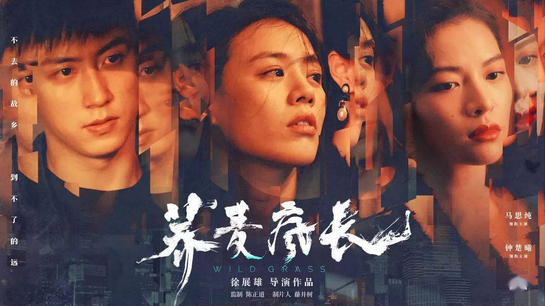 巷弄深处的影视宝藏，最新爱情电影推荐