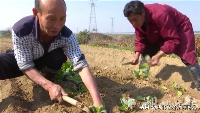 图书馆 第12页