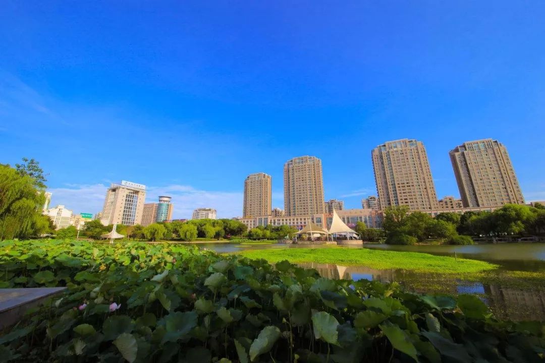 图书馆 第14页